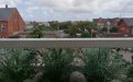 img_20220716_130658.jpg